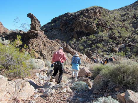 Many Falls Canyon