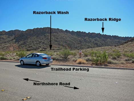 Razorback Wash