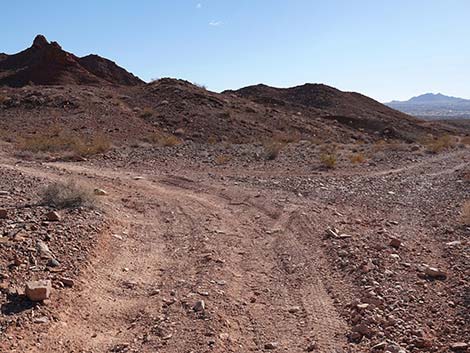 Red Needle Trail