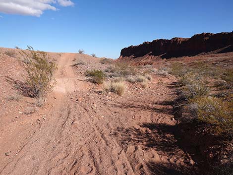 Red Needle Trail