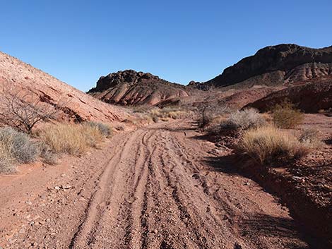 Red Needle Trail