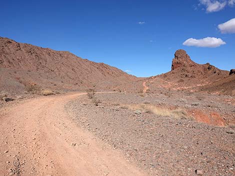 Red Needle Trail