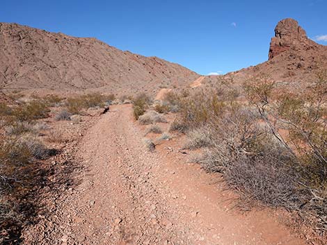 Red Needle Trail