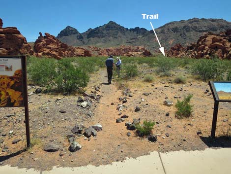 Redstone Dune Loop Trail