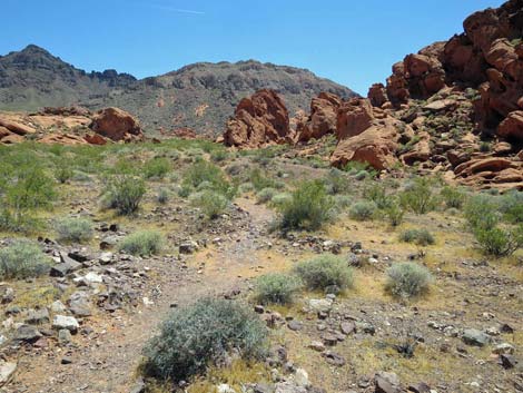 Redstone Dune Loop Trail