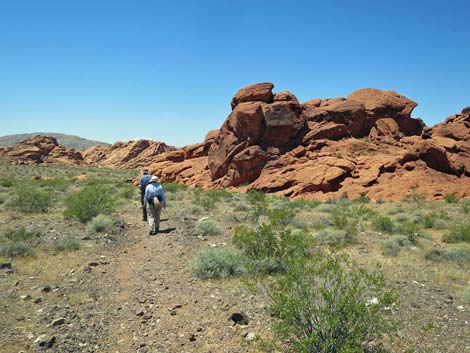 Redstone Dune Loop Trail