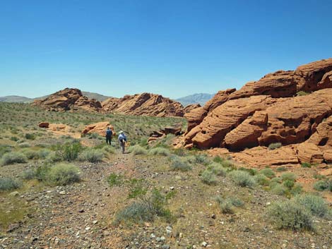 Redstone Dune Loop Trail