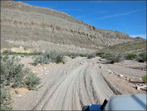 Bitter Springs Byway