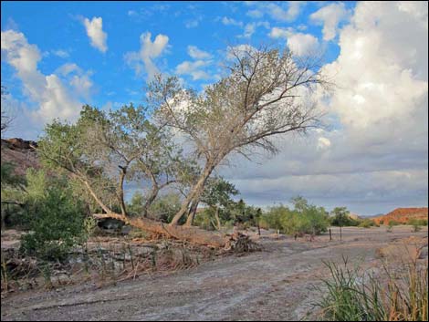 Bitter Springs Byway