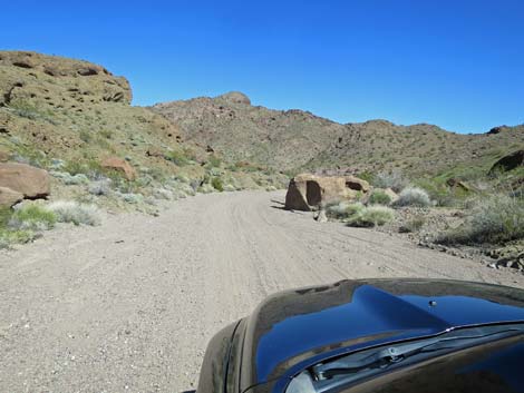 Boy Scout Canyon Road