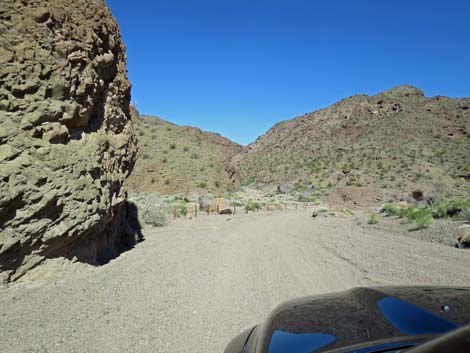 Boy Scout Canyon Road