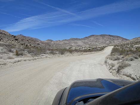 Christmas Tree Pass Road