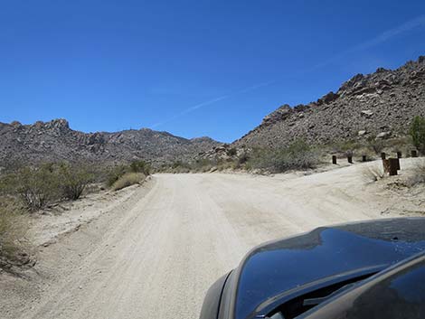 Christmas Tree Pass Road