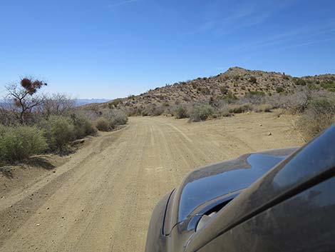 Christmas Tree Pass Road