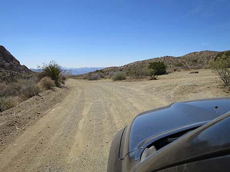 Christmas Tree Pass Road