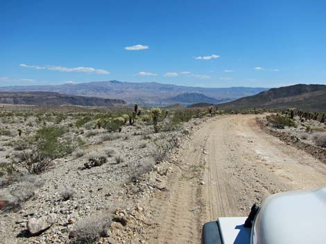 Opal Mountain Road