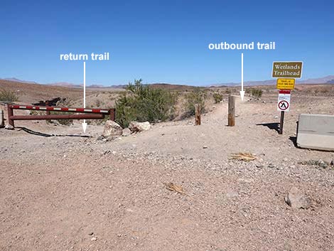 Wetlands Trailhead