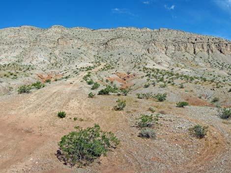 Weiser Bowl (aka The Bowl)