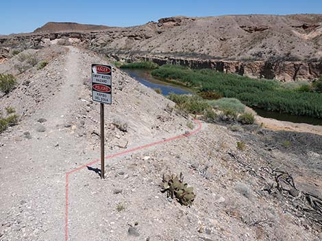 Wetlands Trail