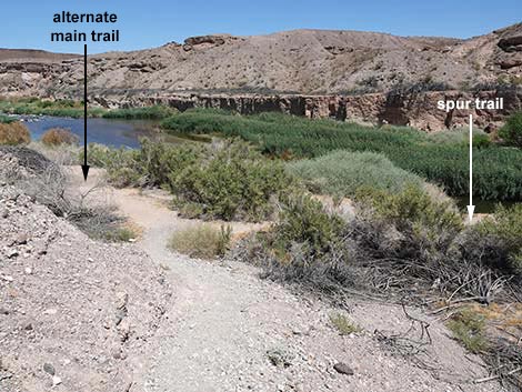 Wetlands Trail