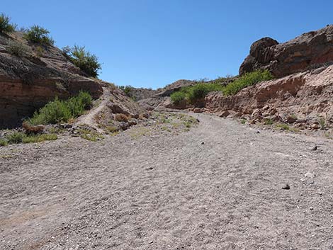 Wetlands Trail