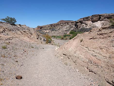 Wetlands Trail