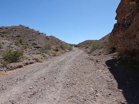 Wetlands Trail