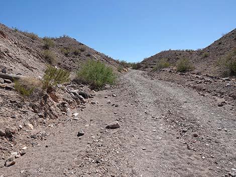 Wetlands Trail