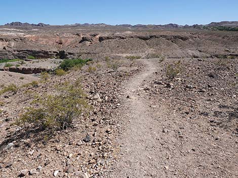 Wetlands Trail