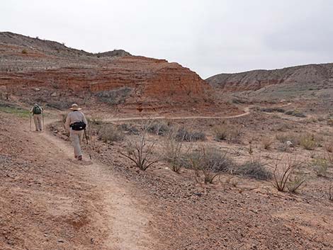 White Owl Canyon