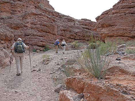 White Owl Canyon