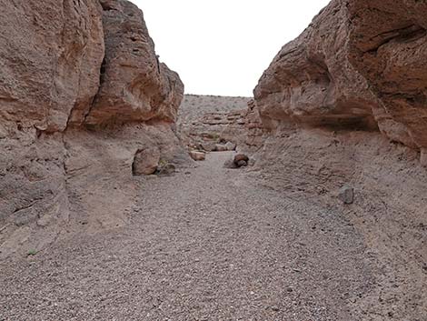 White Owl Canyon