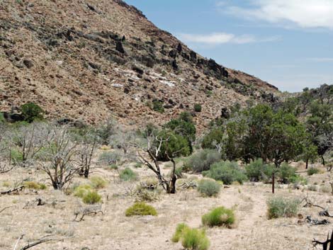 Barber Loop Trail