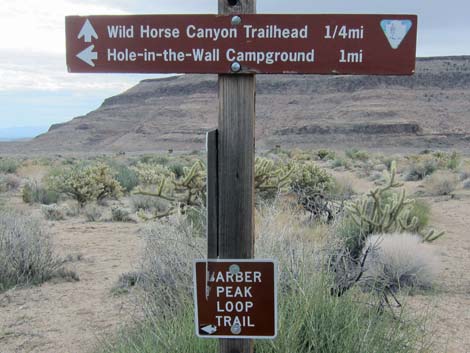 Barber Loop Trail