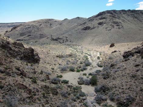 Barber Loop Trail