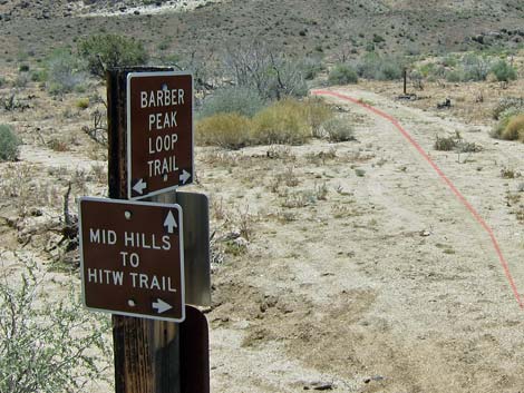 Mid Hills to Hole-in-the-Wall Trail