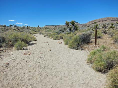 Hole-in-the-Wall to Mid Hills Trail