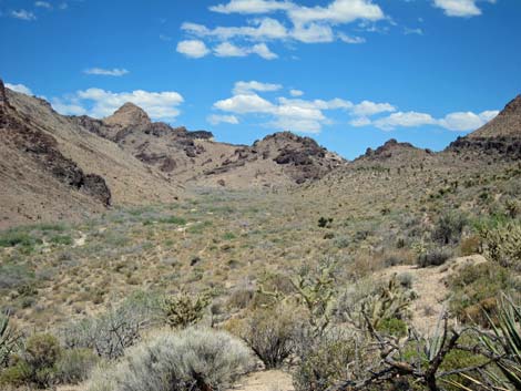 Barber Loop Trail