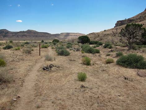 Barber Loop Trail