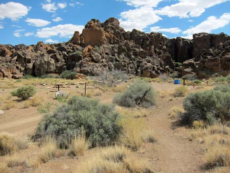 Cactus Garden Loop Trail