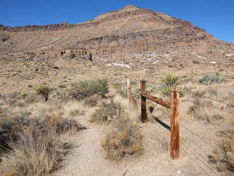 Barber Loop Trail