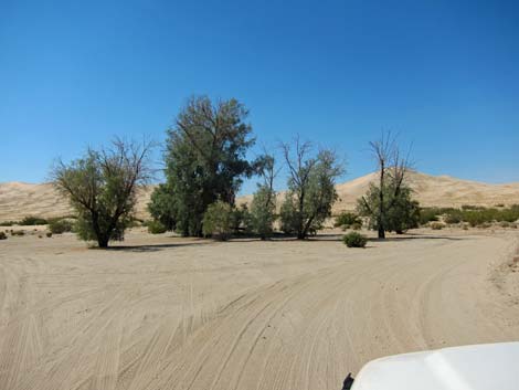 Kelso Dunes Road