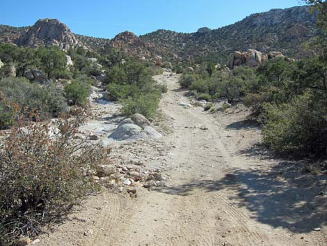 Caruthers Canyon