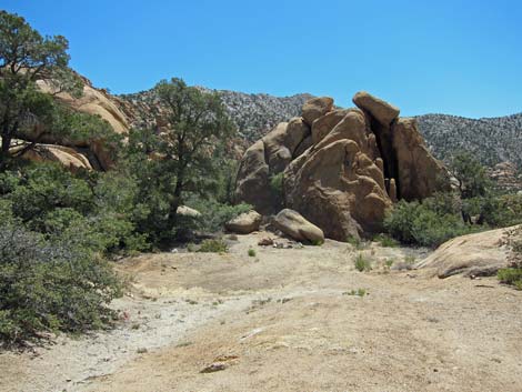 Caruthers Canyon