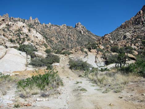 Caruthers Canyon Road