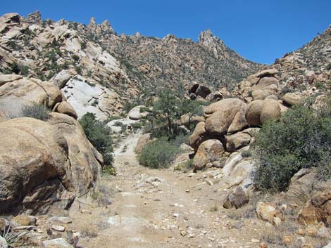 Caruthers Canyon Road