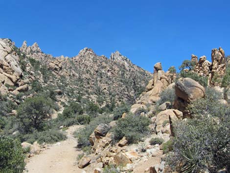 Caruthers Canyon Road