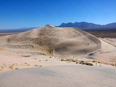 Kelso Dunes