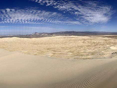 Kelso Dunes