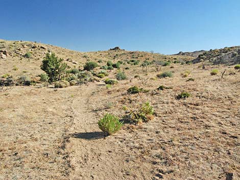 Mid Hills to Hole-in-the-Wall Trail